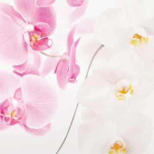 Tableaux en verre avec orchidées