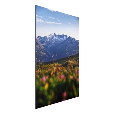 Tableau sur aluminium - Flowering Meadow In The Mountains