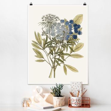 Poster fleurs - Wild Herbs Board I
