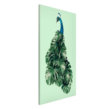 Tableau magnétique - Peacock With Monstera Leaves