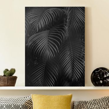 Impression sur toile - Black Palm Fronds