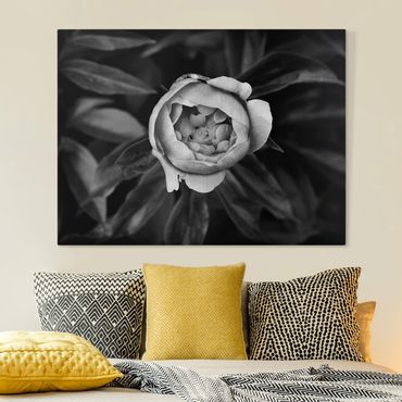 Tableau sur toile - Peonies In Front Of Leaves Black And White