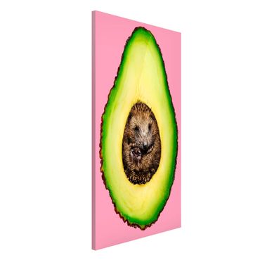 Tableau magnétique - Avocado With Hedgehog