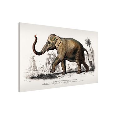 Tableau magnétique - Vintage Board Elephant