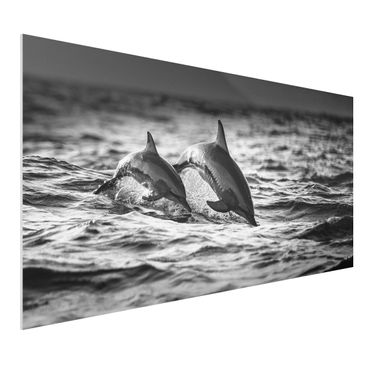 Tableau en forex - Two Jumping Dolphins