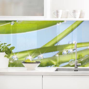 Revêtement mural cuisine - Fresh Green