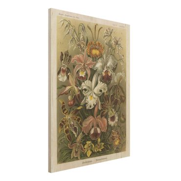 Impression sur bois - Vintage Board Orchid