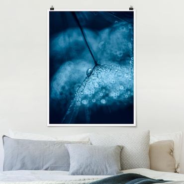 Poster fleurs - Blue Dandelion In The Rain
