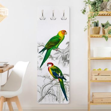 Porte-manteau - Vintage Wall Chart Two Parrots Green Red