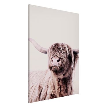 Tableau magnétique - Highland Cattle Frida In Beige