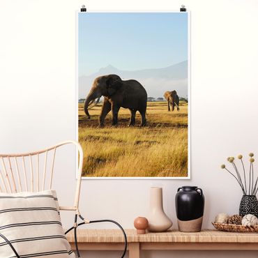 Poster animaux - Elephants In Front Of The Kilimanjaro In Kenya