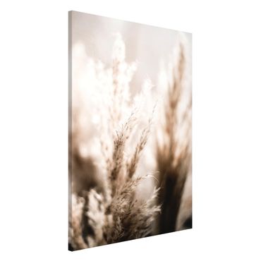 Tableau magnétique - Pampas Grass In The Shadow