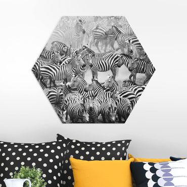 Hexagone en forex - Zebra herd II