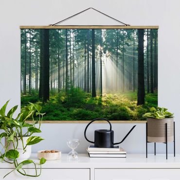 Tableau en tissu avec porte-affiche - Enlightened Forest
