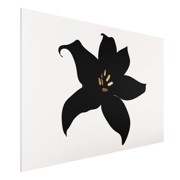 Impression sur forex - Graphical Plant World - Orchid Black And Gold