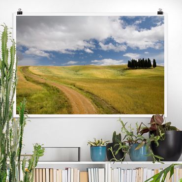Poster - Cypresses In Tuscany