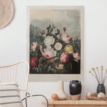 Impression sur toile - Botany Vintage Illustration Of Roses