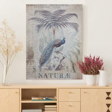 Impression sur toile - Shabby Chic Collage - Peacock