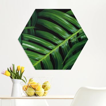 Hexagone en forex - Palm Leaves