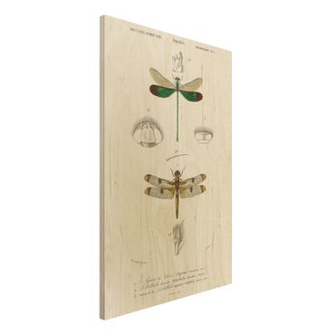 Impression sur bois - Vintage Board Dragonflies