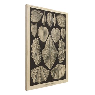 Impression sur bois - Vintage Board Shells II