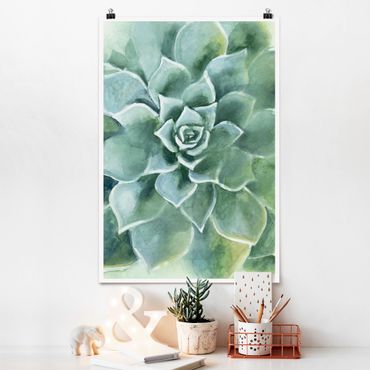 Poster fleurs - Succulent Plant Watercolour Dark