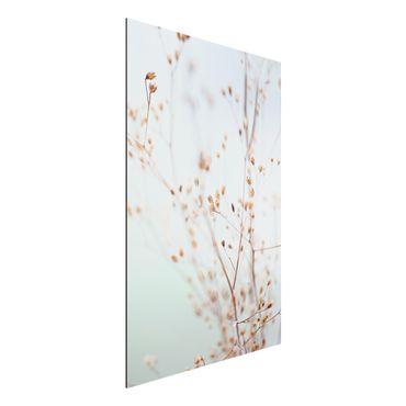 Tableau sur aluminium - Pastel Buds On Wild Flower Twig