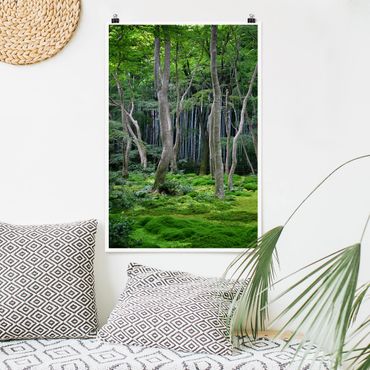 Poster forêt - Japanese Forest
