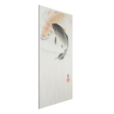 Impression sur aluminium - Vintage Illustration Asian Fish L