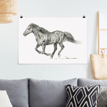 Poster - Wild Horse Trial - Mare