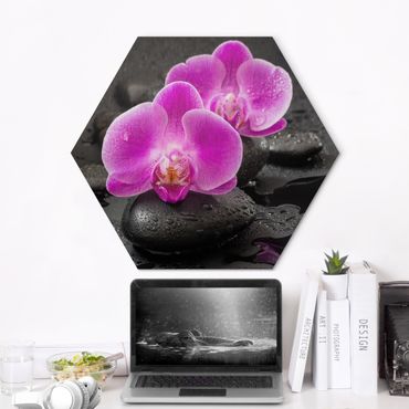 Hexagone en alu Dibond - Pink Orchid Flower On Stones With Drops