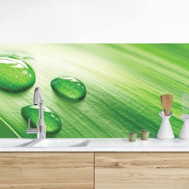 Revêtement mural cuisine - Banana Leaf With Drops