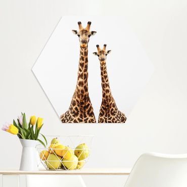 Hexagone en forex - Portait Of Two Giraffes