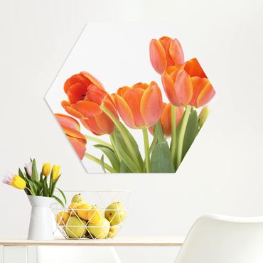 Hexagone en forex - No.191 Tulips