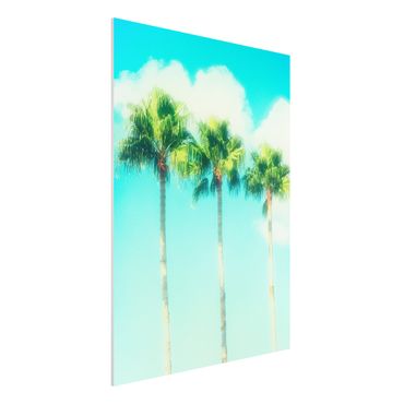 Impression sur forex - Palm Trees Against Blue Sky