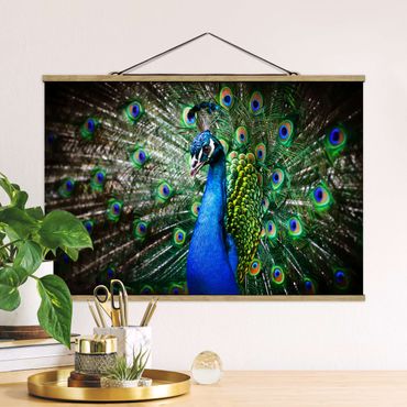Tableau en tissu avec porte-affiche - Noble Peacock