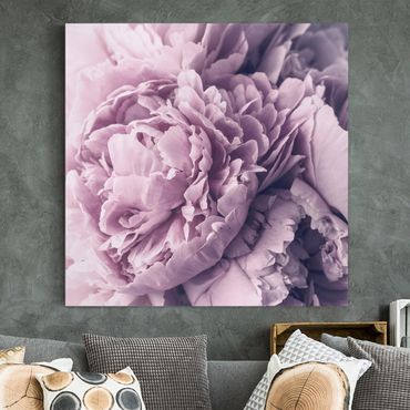 Tableau sur toile - Purple Peony Blossoms