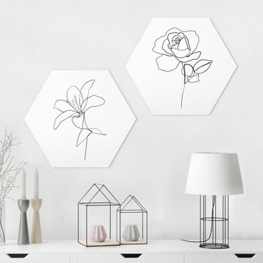 Hexagone en forex - Line Art Flowers Black White Set