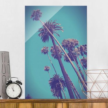 Tableau en verre - Tropical Plants Palm Trees And Sky