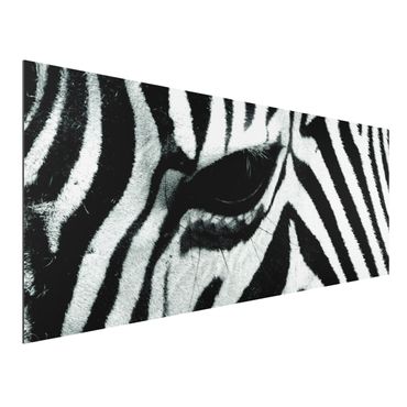 Tableau sur aluminium - Zebra Crossing No.2
