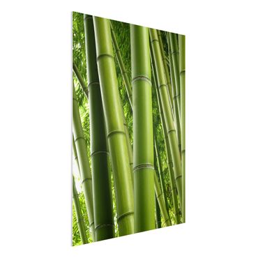 Tableau en forex - Bamboo Trees No.1