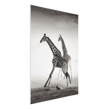 Tableau en forex - Giraffe Hunt