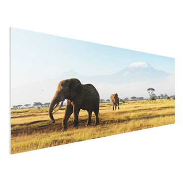 Tableau en forex - Elephants In Front Of The Kilimanjaro In Kenya