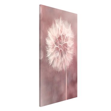 Tableau magnétique - Dandelion Bokeh Light Pink