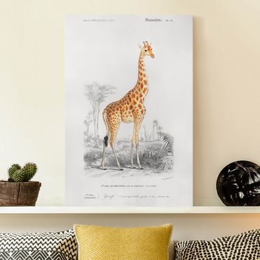 Impression sur toile - Vintage Board Giraffe