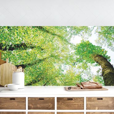 Revêtement mural cuisine - Trees Of Life