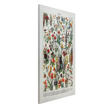 Tableau magnétique - Vintage Board Flowers IV