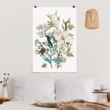 Poster fleurs - British Butterflies I