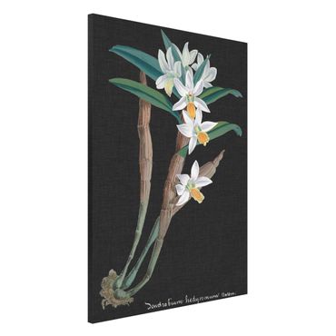 Tableau magnétique - White Orchid On Linen I