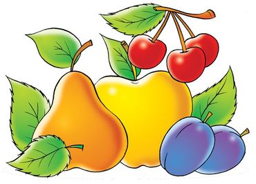 Sticker mural - No.16 Fruit